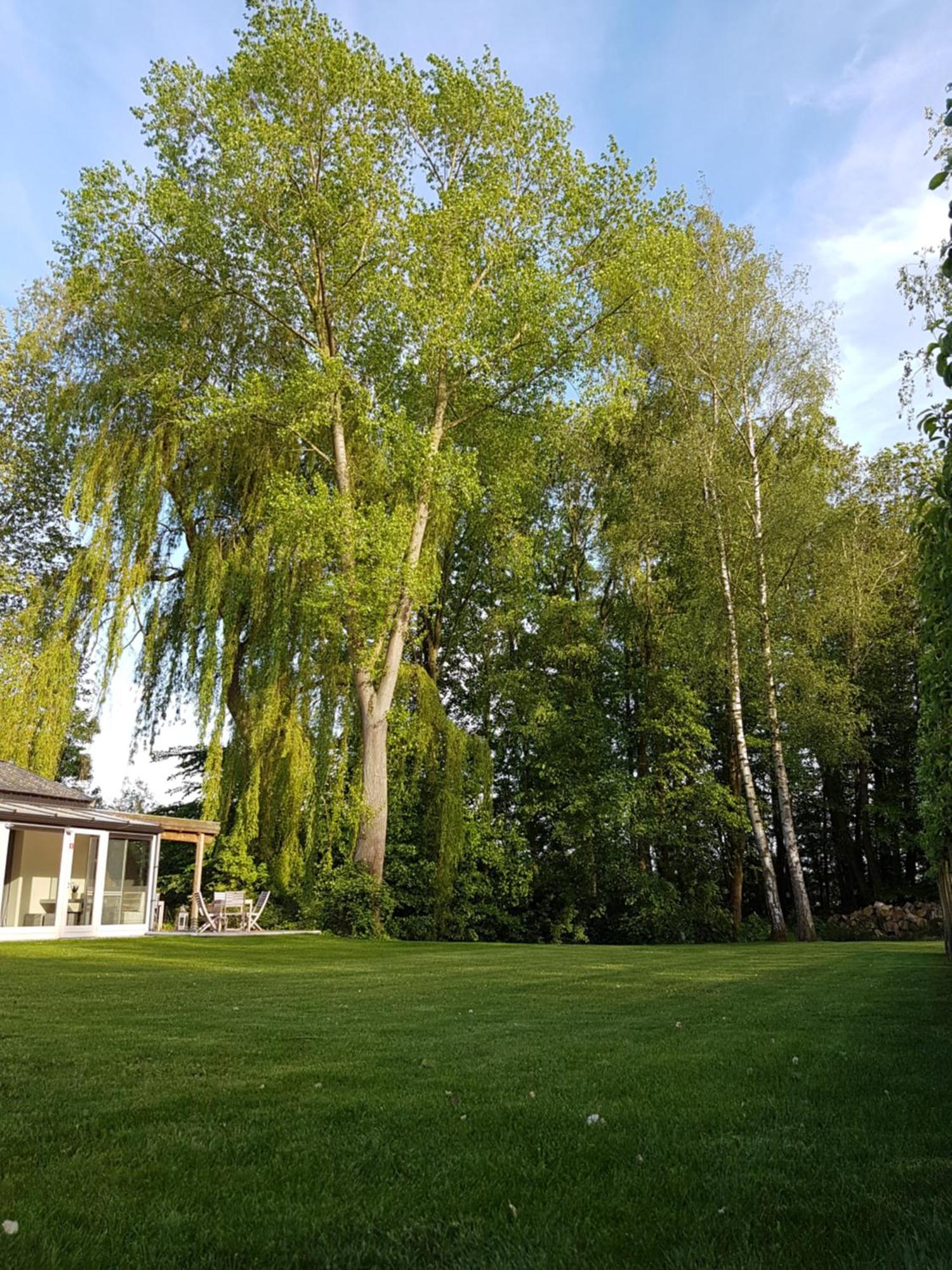B&B Maison Kerkhove Exterior foto